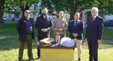 Pszczoły pod ochroną Dolnego Śląska. Milion złotych dla pszczelarzy.