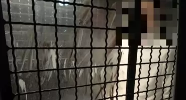 33-latek z narkotykami. Skuteczna akcja jeleniogórskich policjantów
