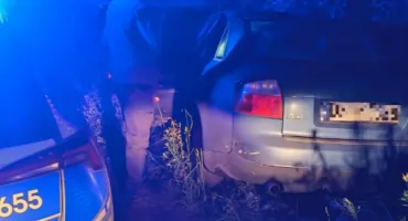 Trzy zakazy, poszukiwania i nocny pościg. 26-latka zakończyła ucieczkę w zaroślach
