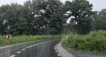 Niebezpiecznie na drogach powiatowych. Zarośnięte pobocza ograniczają widoczność