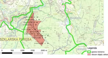 Część lasów w regionie objęta zakazem wstępu. Powodem możliwe niewybuchy