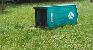 Ile trzeba mieć w sobie bezmyślności, by niszczyć własne miasto? Fala dewastacji w Jeleniej Górze