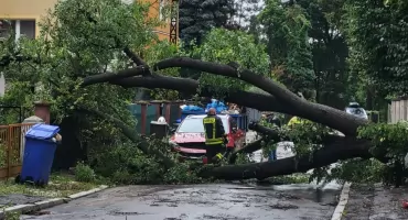 Nawałnica spowodowała ogromne straty. Zobaczcie zdjęcia