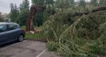 Porządkowanie miasta po nawałnicy. Pracownicy MPGK działają do późnych godzin nocnych