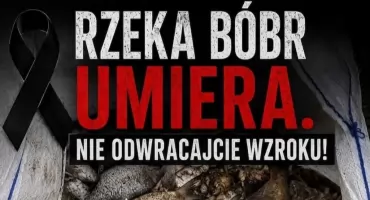 Zapowiadają pokojowy protest w obronie Bobru. Mogą wystąpić utrudnienia na DK 5