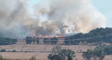 Ogień strawił ponad 20 hektarów upraw. Groźny pożar pod Jerzmanicami-Zdrojem